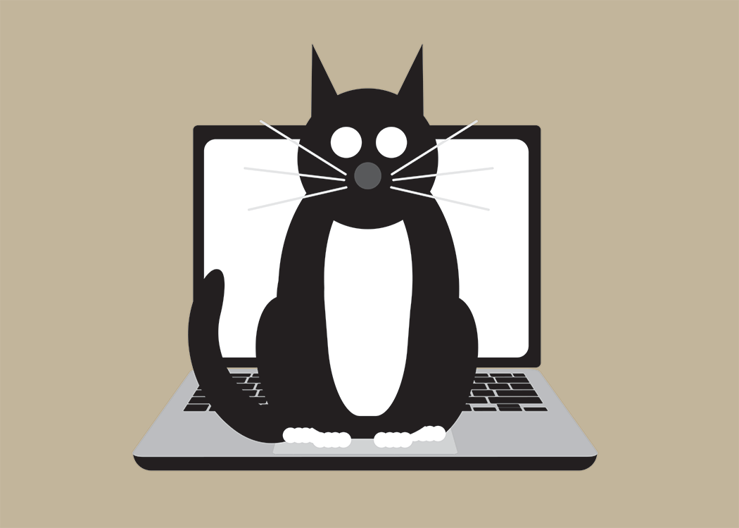 *＊*マイケル・ルー the FortuNE CAt ❜03 *＊*サイン入り マイケル・ルー the FortuNE CAt ❜03 *＊*サイン入り - メルカリ